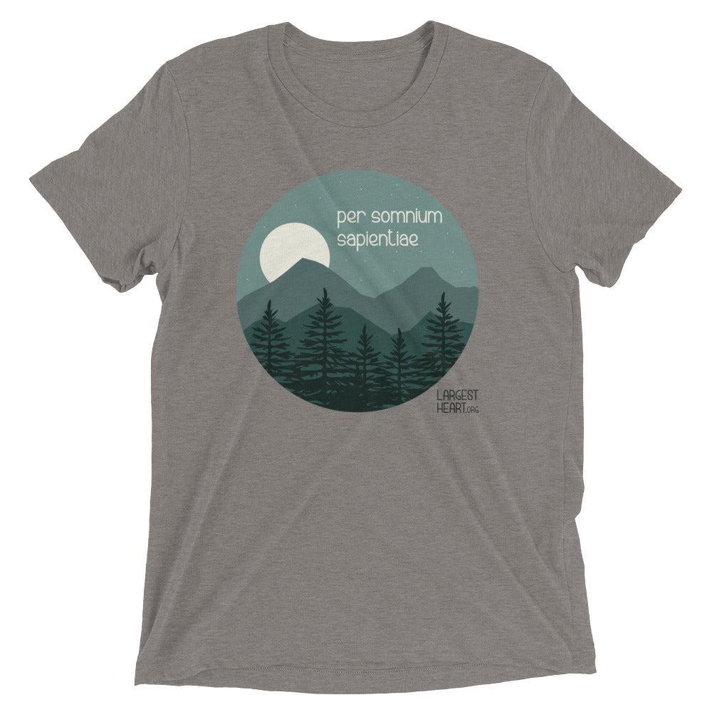 Triblend Short Sleeve T-shirt - Wisdom