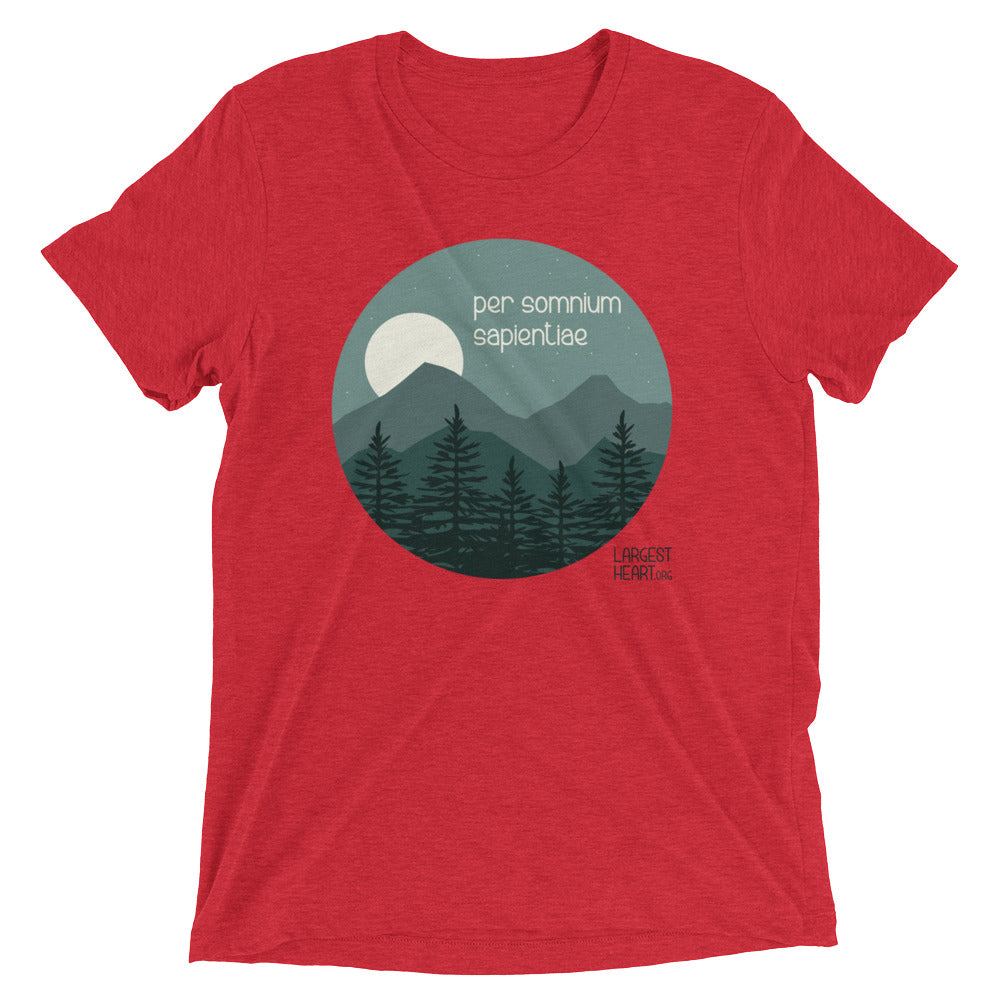 Triblend Short Sleeve T-shirt - Wisdom