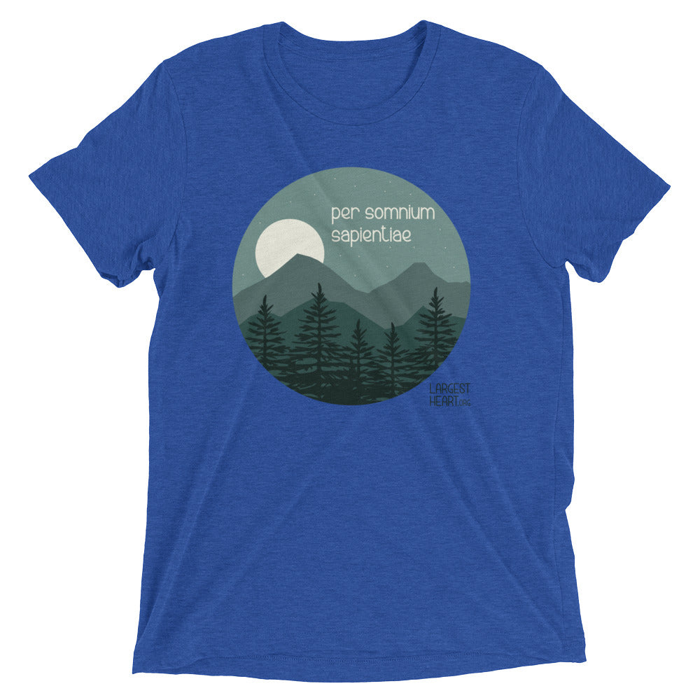 Triblend Short Sleeve T-shirt - Wisdom
