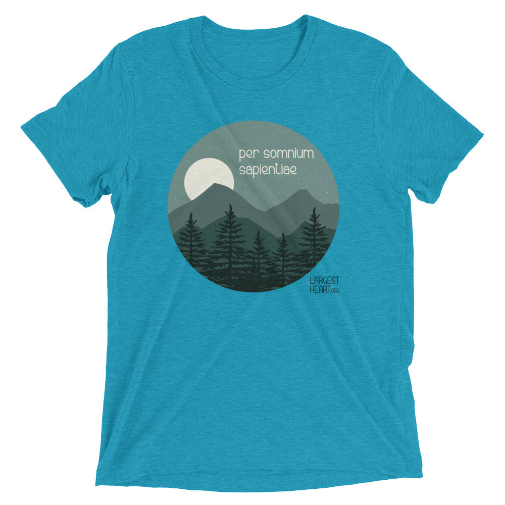 Triblend Short Sleeve T-shirt - Wisdom