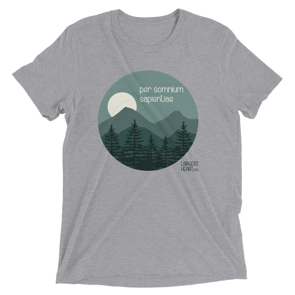 Triblend Short Sleeve T-shirt - Wisdom