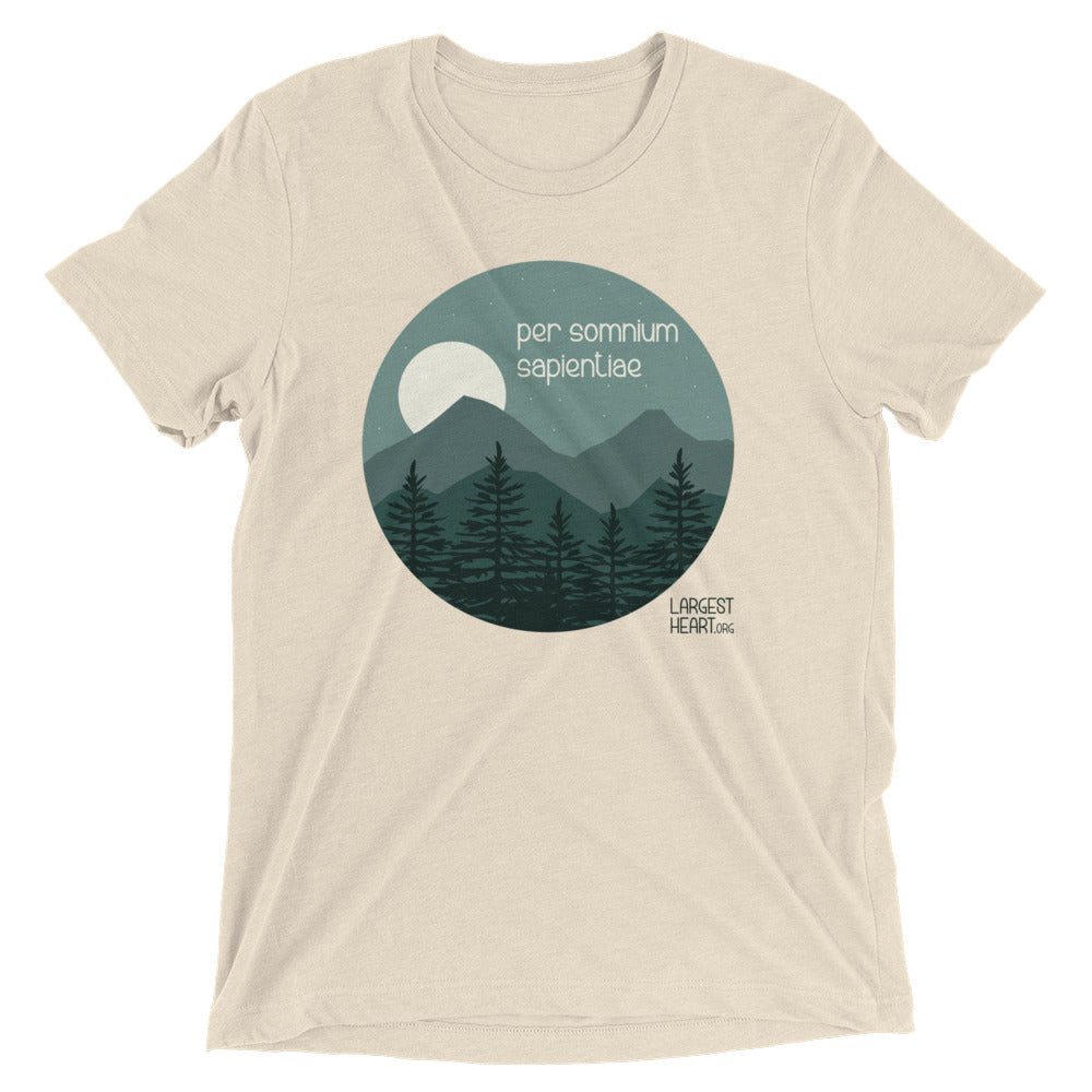Triblend Short Sleeve T-shirt - Wisdom