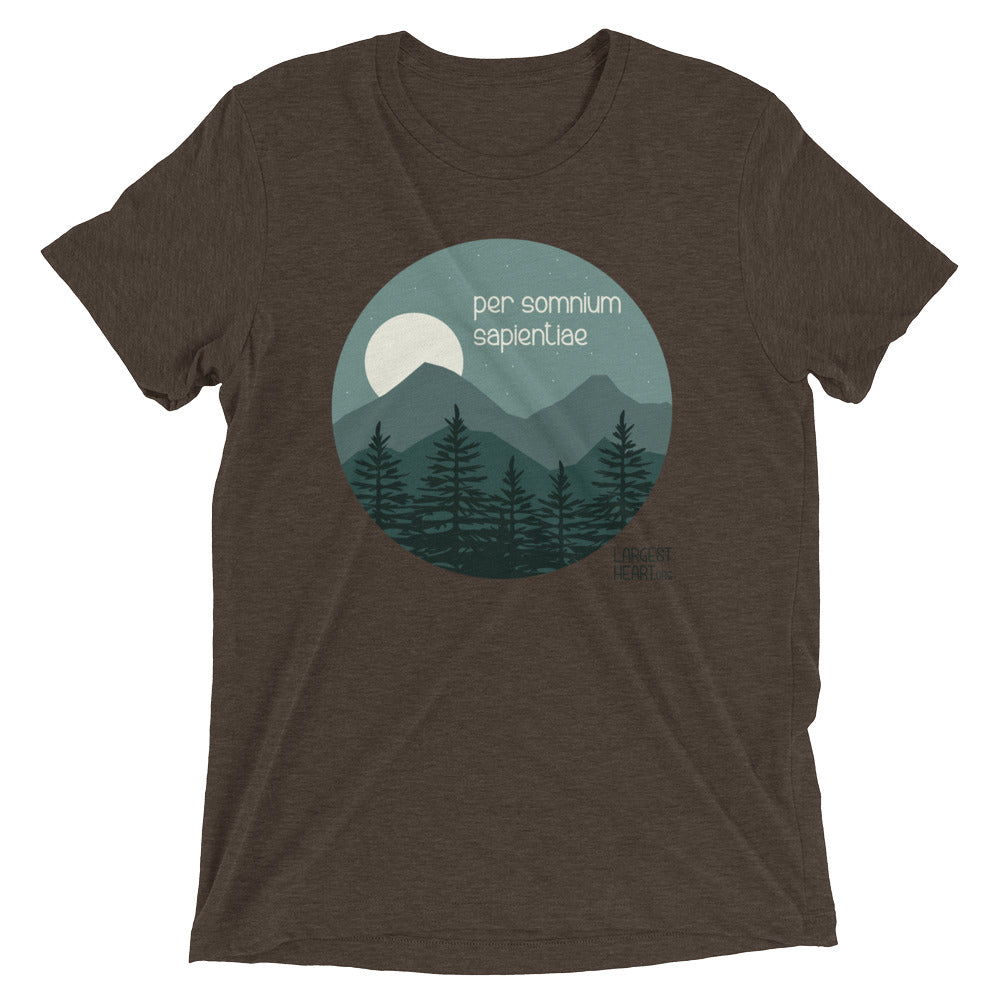 Triblend Short Sleeve T-shirt - Wisdom