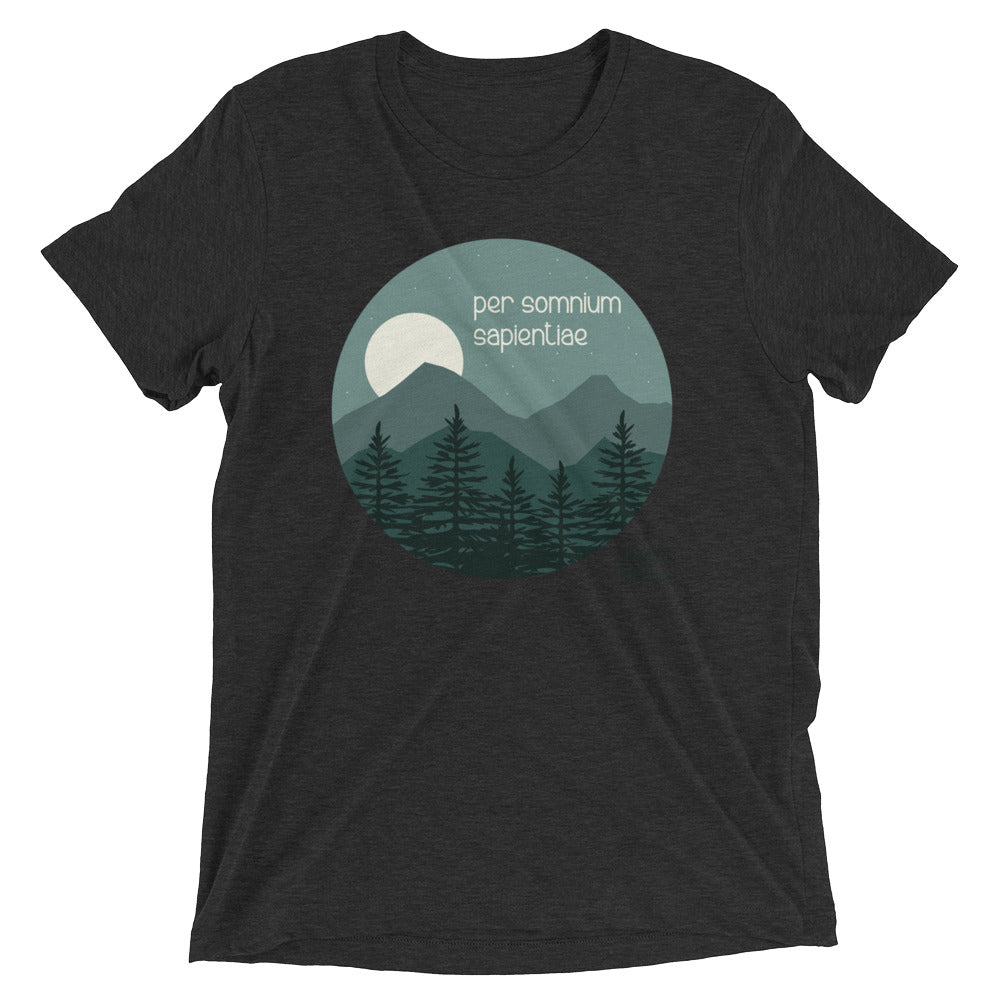 Triblend Short Sleeve T-shirt - Wisdom