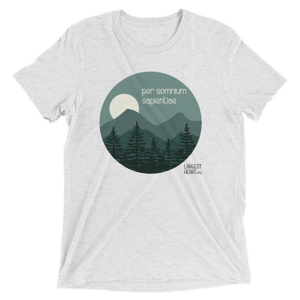 Triblend Short Sleeve T-shirt - Wisdom