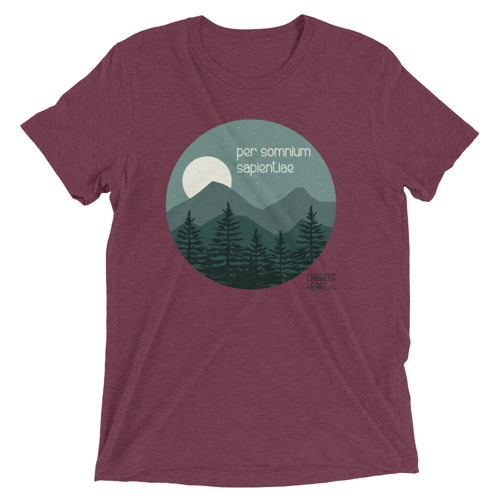 Triblend Short Sleeve T-shirt - Wisdom