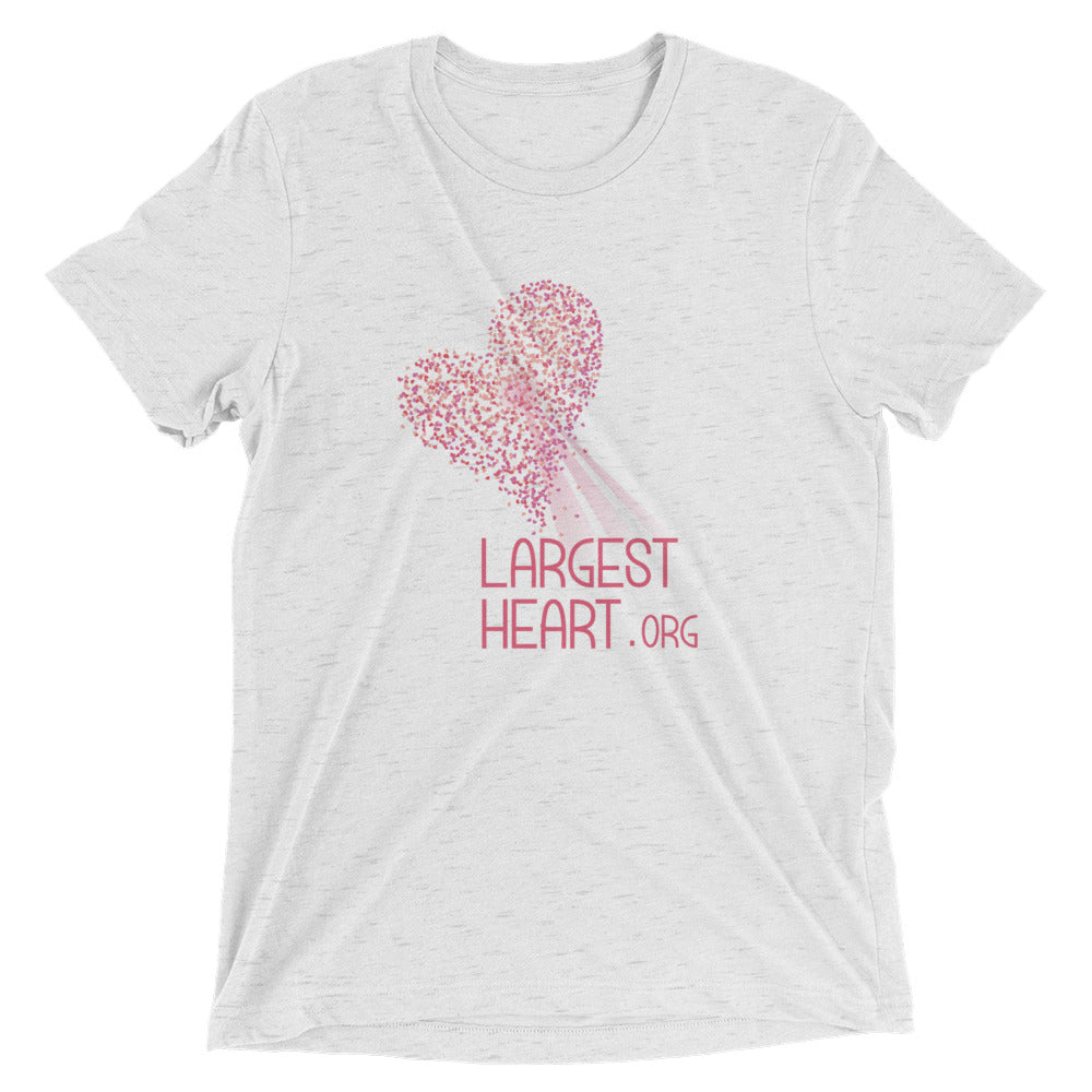 Triblend Short sleeve T-shirt - Logo