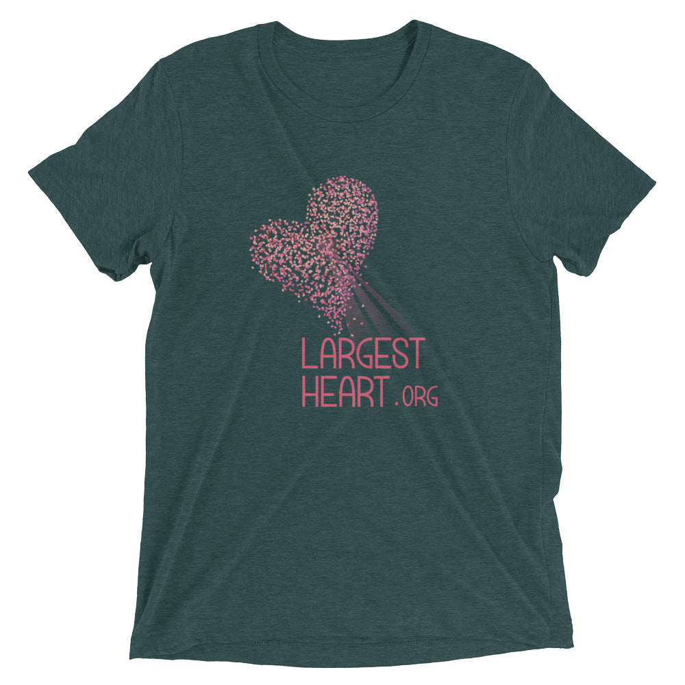 Triblend Short sleeve T-shirt - Logo