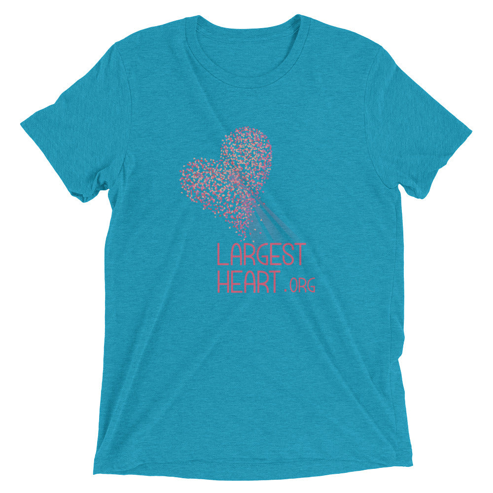 Triblend Short sleeve T-shirt - Logo