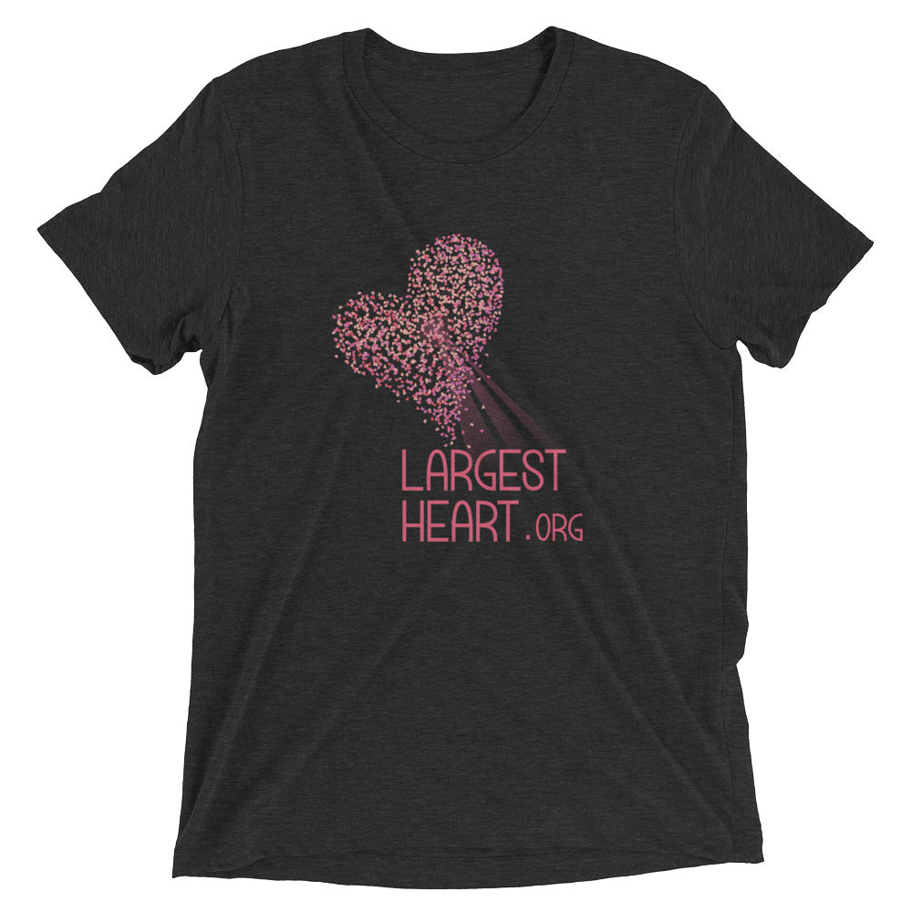 Triblend Short sleeve T-shirt - Logo