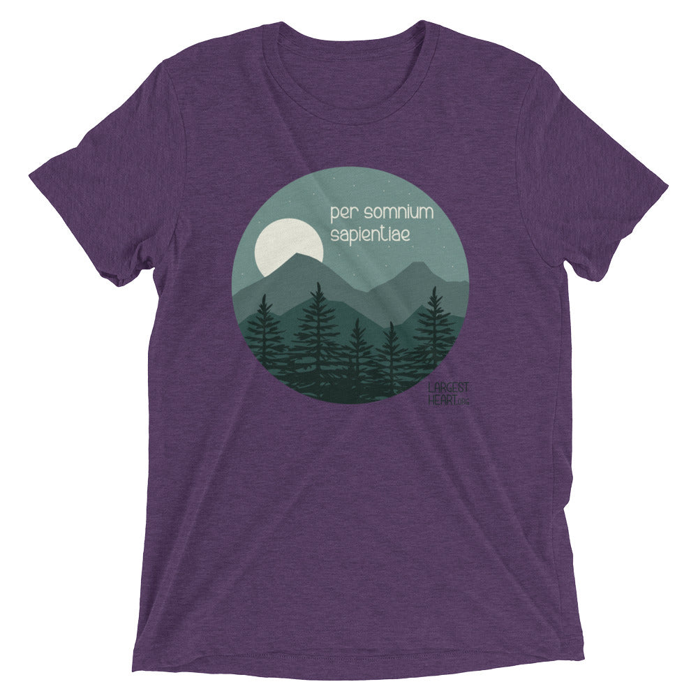 Triblend Short Sleeve T-shirt - Wisdom