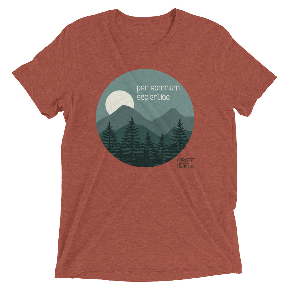 Triblend Short Sleeve T-shirt - Wisdom