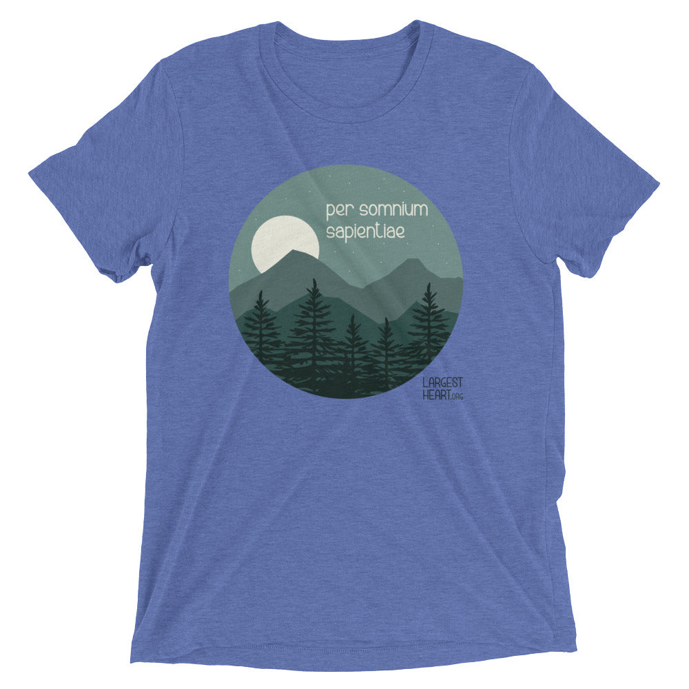 Triblend Short Sleeve T-shirt - Wisdom
