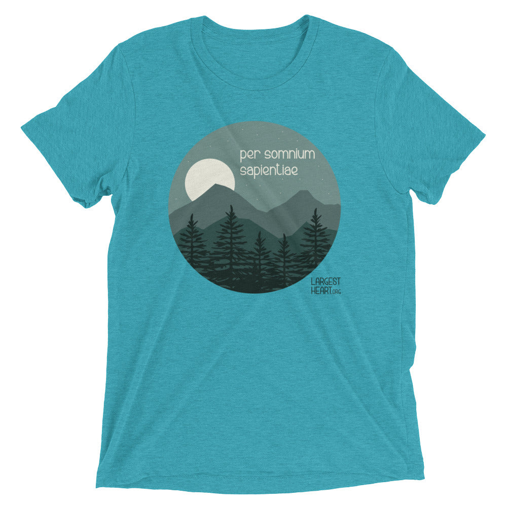 Triblend Short Sleeve T-shirt - Wisdom