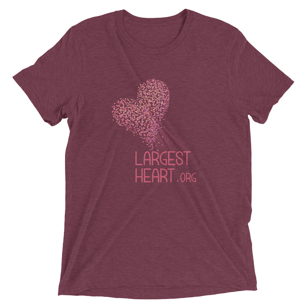 Triblend Short sleeve T-shirt - Logo