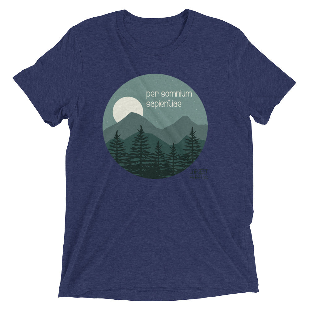 Triblend Short Sleeve T-shirt - Wisdom