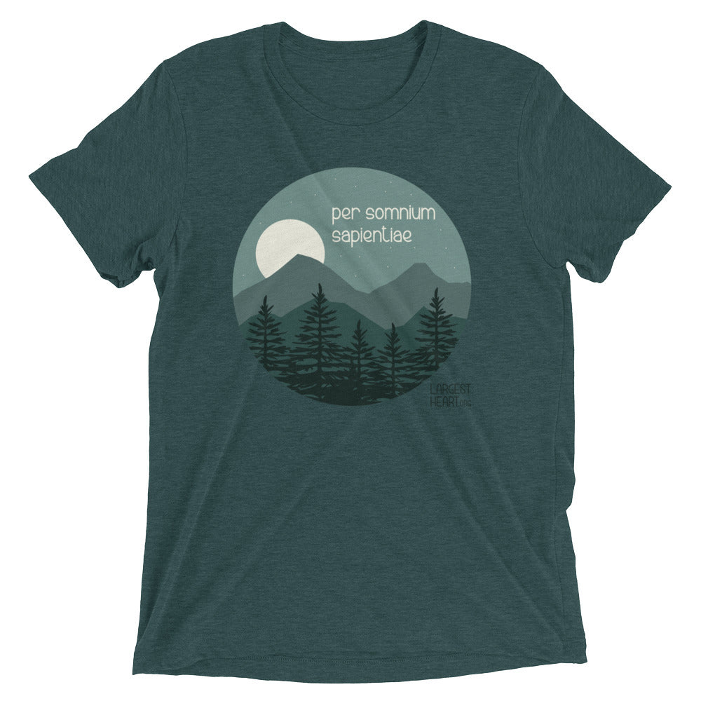 Triblend Short Sleeve T-shirt - Wisdom