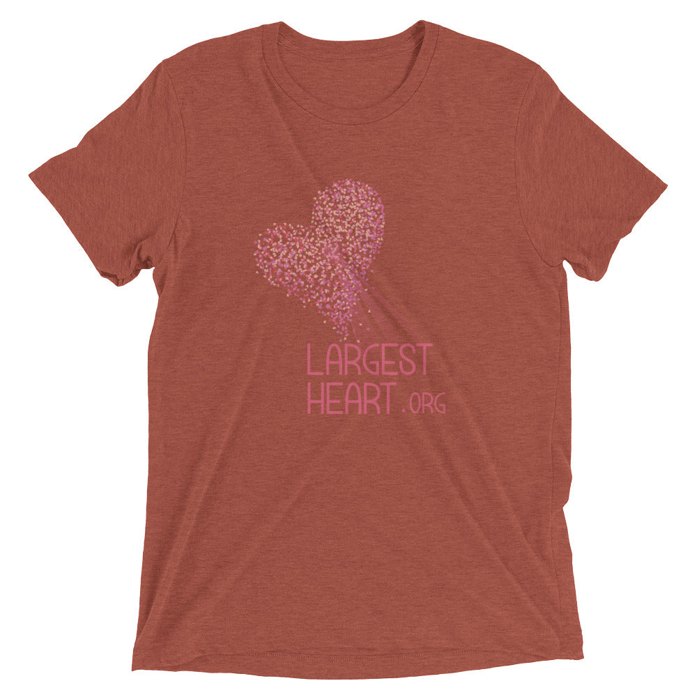 Triblend Short sleeve T-shirt - Logo