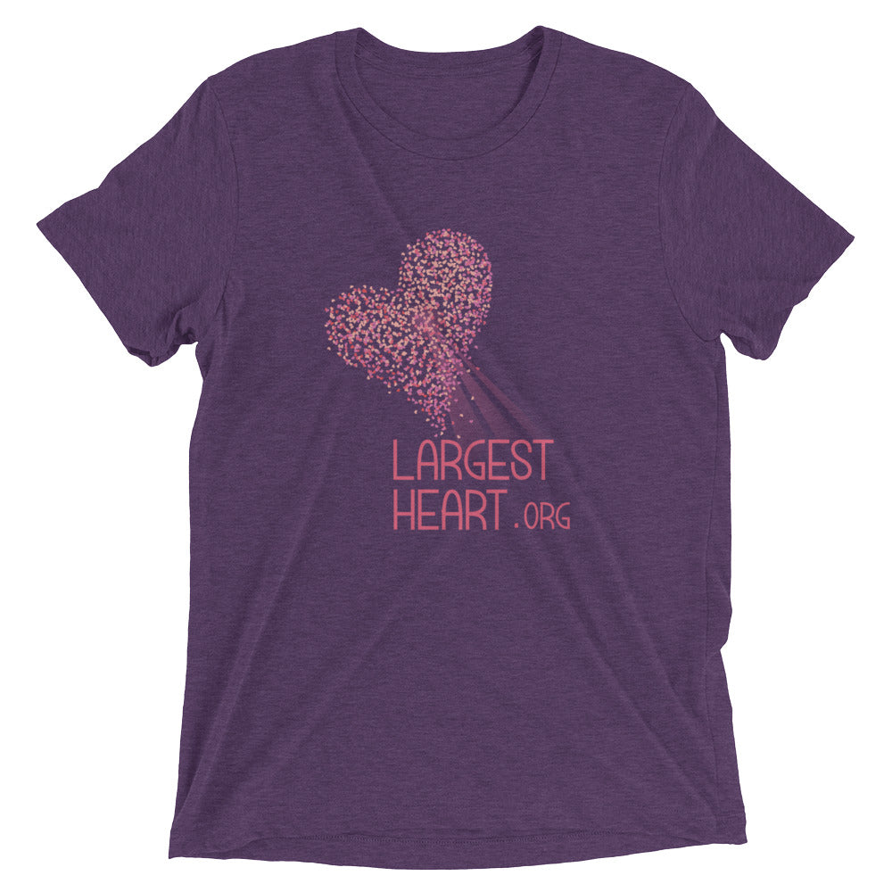 Triblend Short sleeve T-shirt - Logo