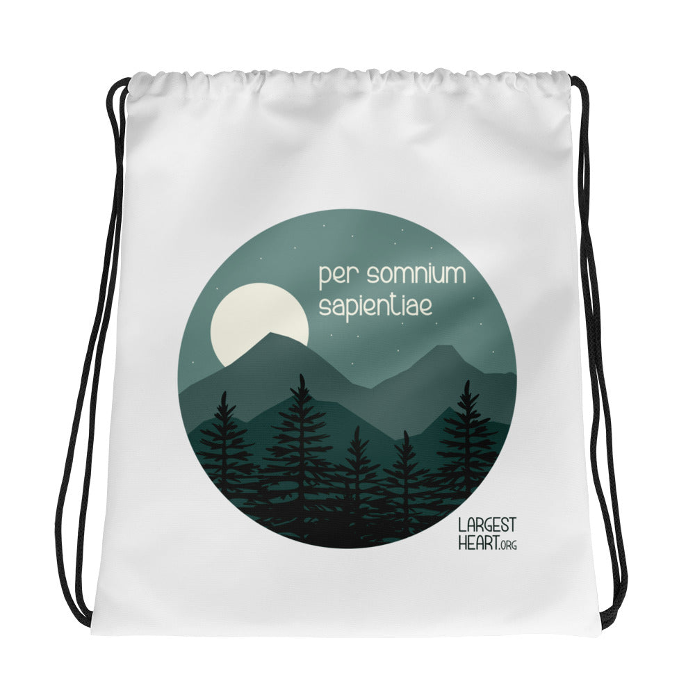 The Bag - Wisdom