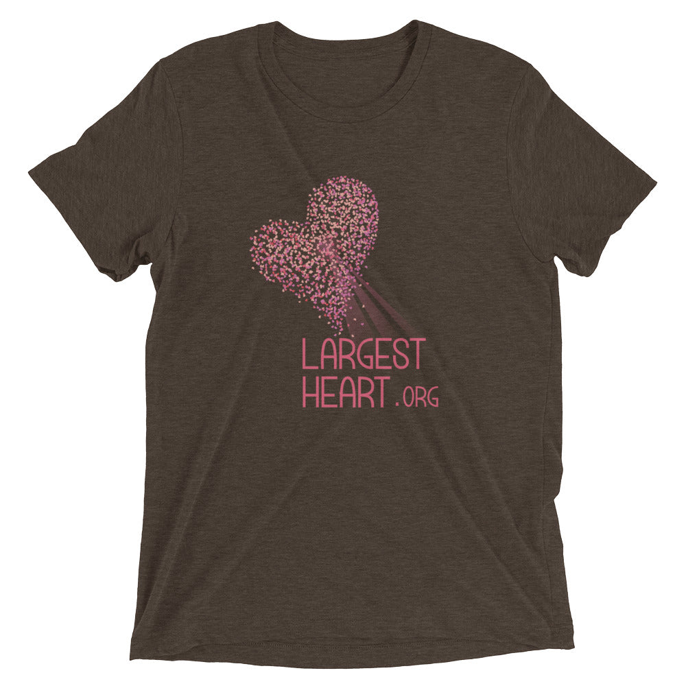 Triblend Short sleeve T-shirt - Logo