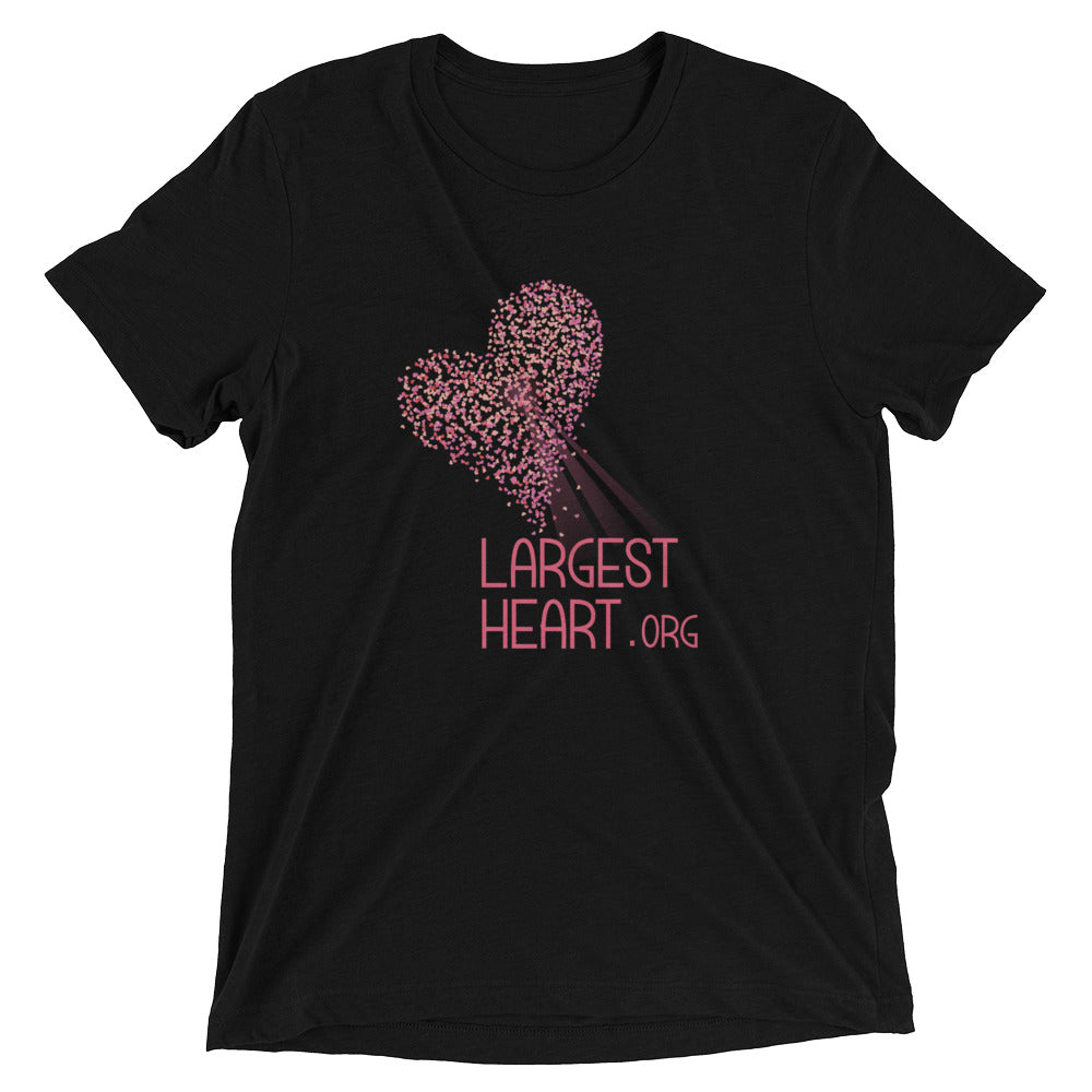 Triblend Short sleeve T-shirt - Logo