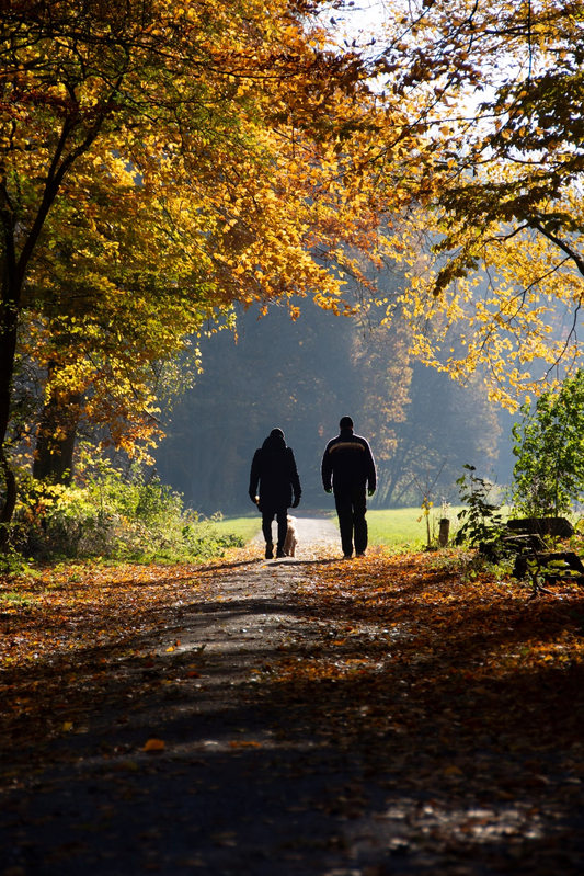 'John is coming home.'   How to handle your loved one coming back from rehab.