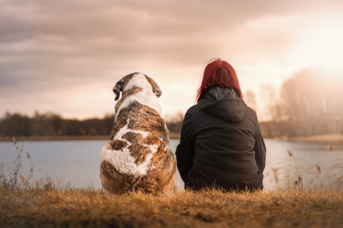 The mental (and health) benefits of a companion animal – Part 2