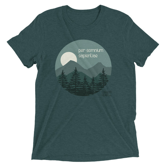 Triblend Short Sleeve T-shirt - Wisdom